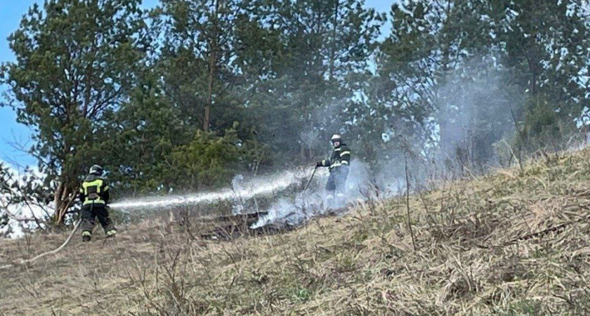 За сутки в Пензенской области произошло более 40 пожаров сухой травы
