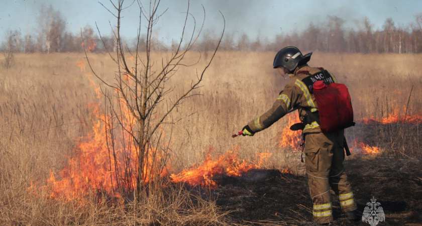 Пензенские спасатели 70 раз выезжали на тушение травы