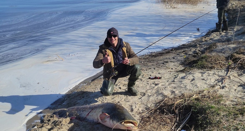 В Пензе рыбак поймал сома весом более  60 килограммов 