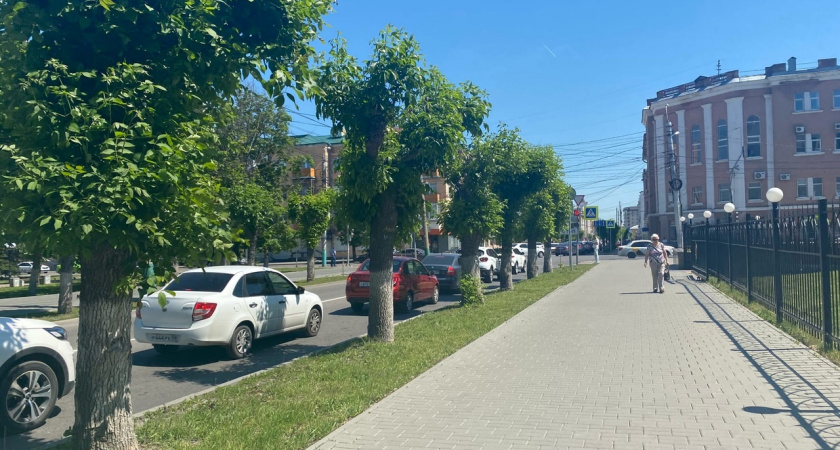 Волонтеры помогут пензенцам проголосовать за благоустройство общественных пространств