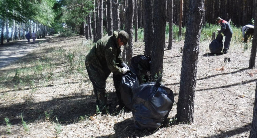 Пензенцев приглашают очистить от мусора территорию Сурского водохранилища 
