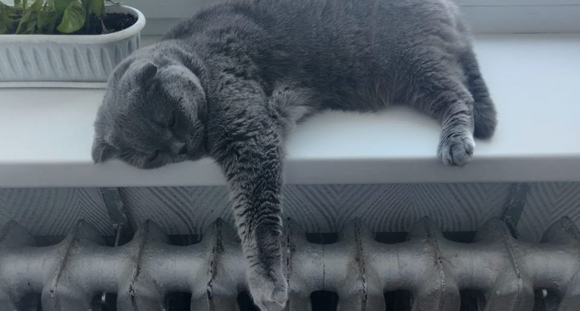 Зареченцам рассказали, почему нельзя убавить температуру в батареях вместо отключения 