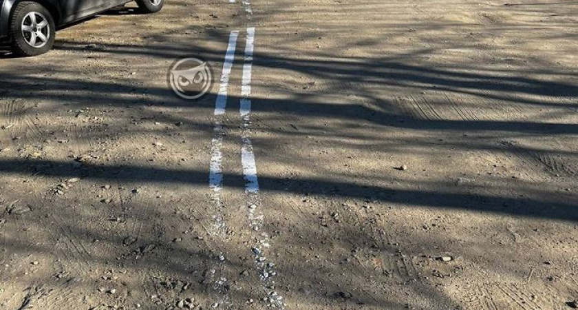 Пензенцев удивила "двойная сплошная" на грунтовой дороге 