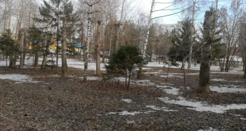 Пензенцам в прямом эфире расскажут о проектах для благоустройства в 2024 году