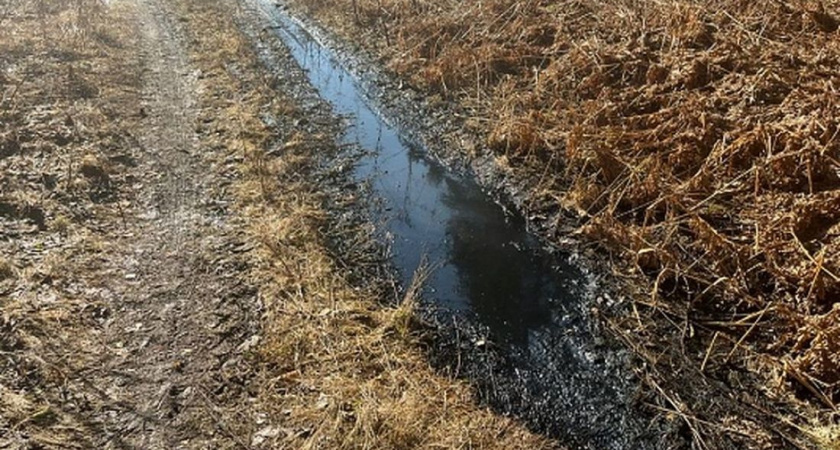 В Следкоме рассказали о ситуации в Кувак-Никольском после разлива опасных веществ 