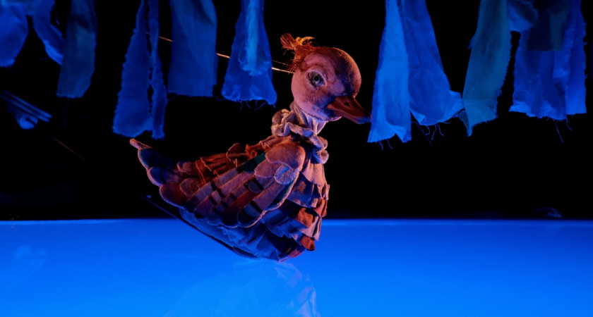 На месте «Кукольного дома» в Пензе возведут гостиницу 