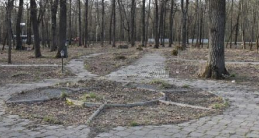 Предложений по благоустройства заброшенного сквера на Лениградской ждут в мэрии Пензы 