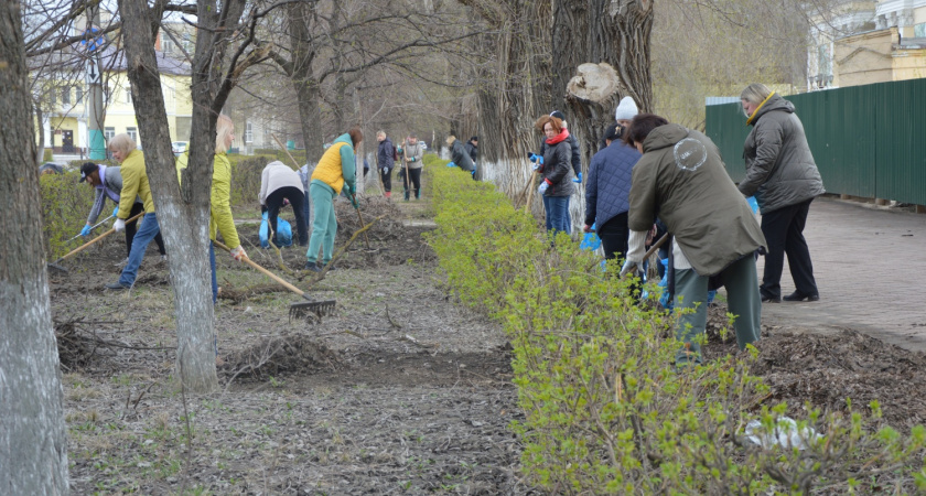 Более 15 кубометров мусора вывезли в Пензенской области с 20 марта по 22 апреля 
