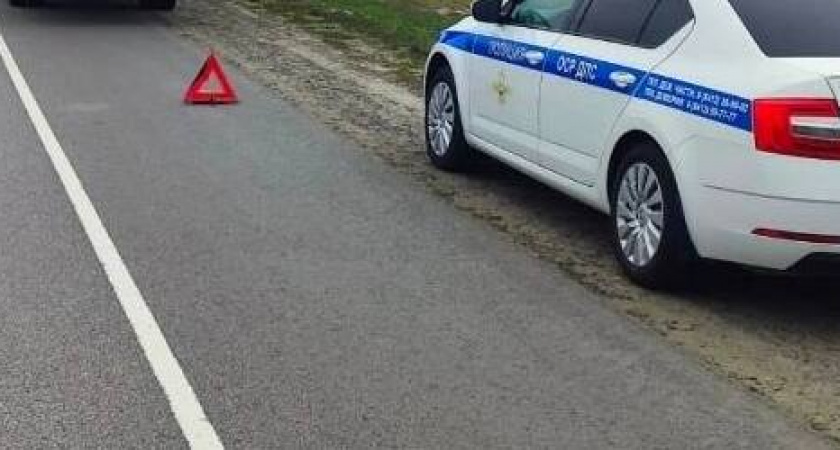 В Мокшанском районе Пензенской области водитель Газели насмерть сбил 35-летнего пешехода