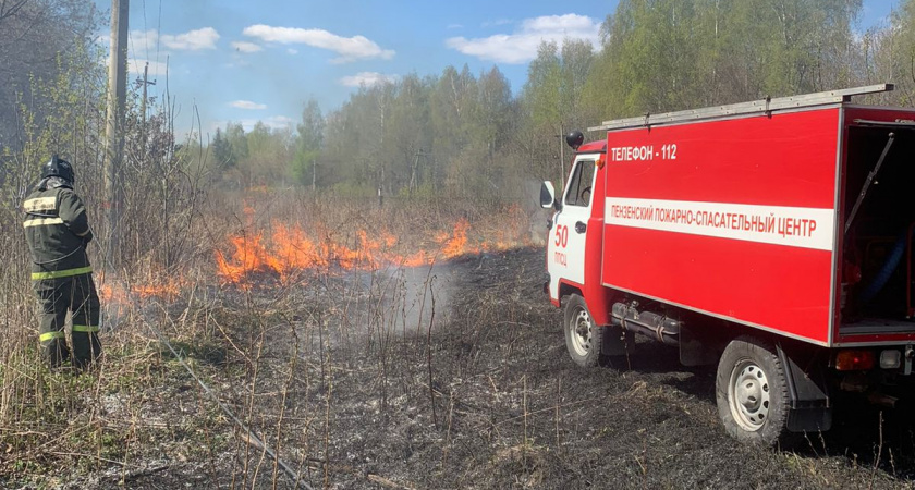 В Пензенской области на 2 дня прогнозируют высокую пожарную опасность лесов