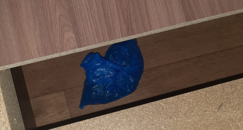 В Пензе житель из другого региона хранил в съемной квартире 350 закладок методона 