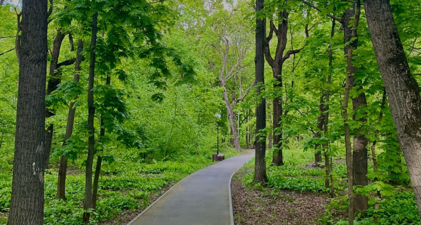 4 мая в Пензенской области прогнозируется до +19 градусов тепла