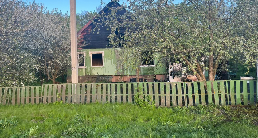 В Пензенской области в пожаре погиб мужчина, его жене удалось выбраться из огня