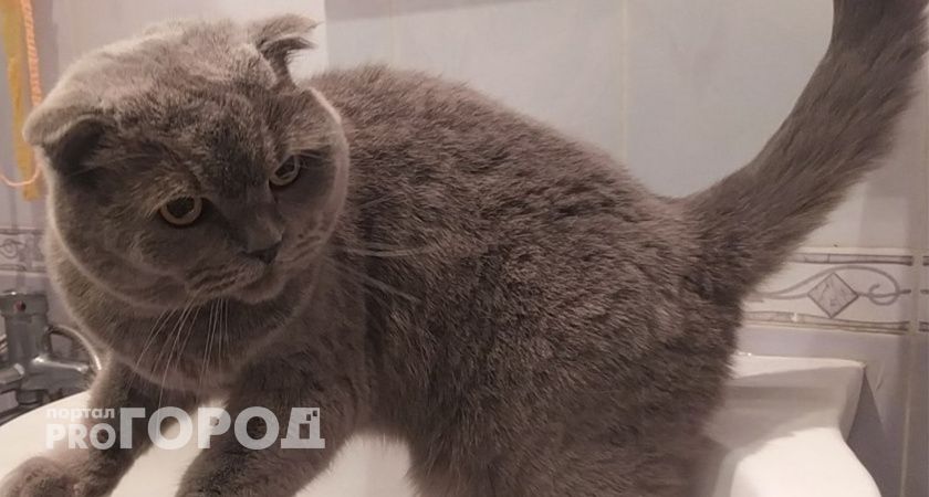 В Пензенском микрорайоне Тепличный горячую воду отключили из-за долгов?