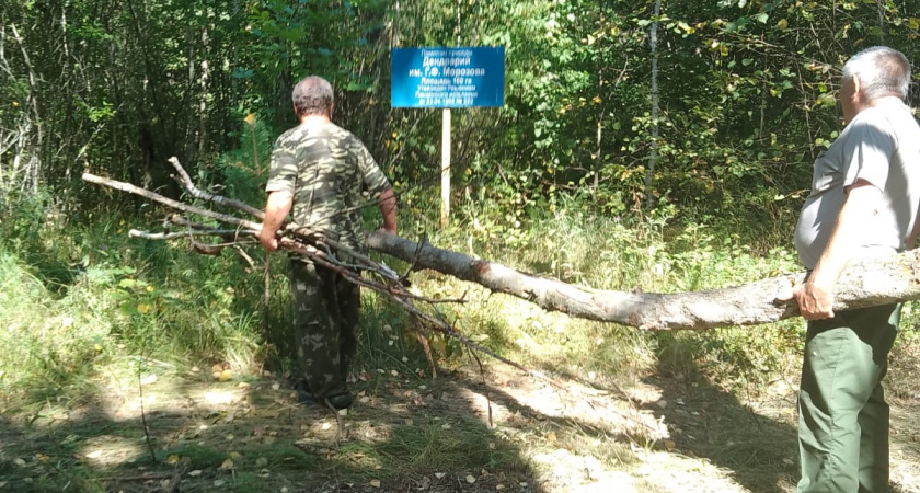 В Пензенской области на восстановление Морозовского дендрария выделят более двух миллионов