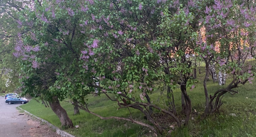 Синоптики предрекли наступление теплых дней в пензенском регионе в конце текущей недели