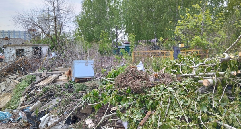 В Пензе около садика развели свалку, от которой идет зловонный запах фекалий