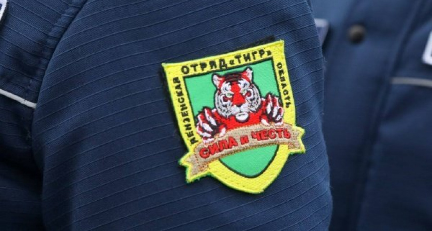 Пензенский отряд "Тигр" 3 636 раз вышел на дежурства с начала его основания 