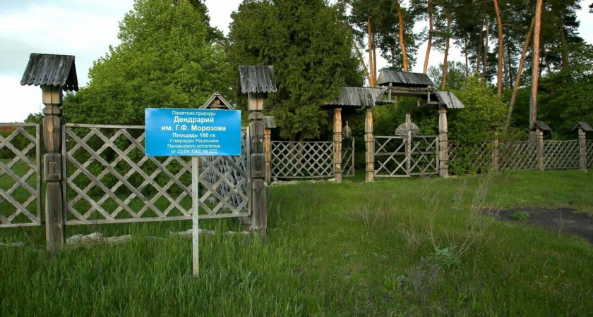 Пензенский дендрарий после реконструкции включат в брендовый туристический маршрут