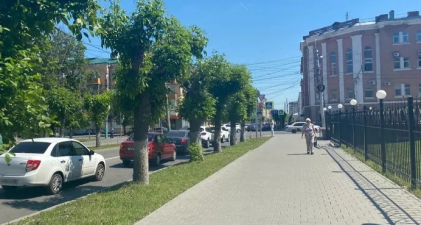 В Пензе 7 тысяч волонтеров помогали людям и животным в 2022 году