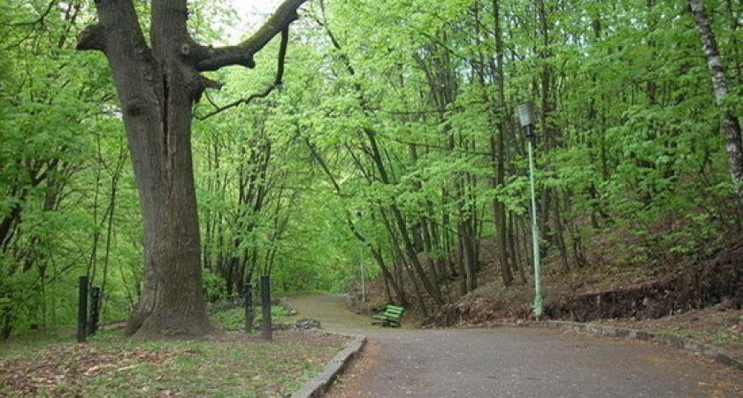 В голосовании за объекты по благоустройству в Пензе лидирует паре им. В. Г. Белинского 