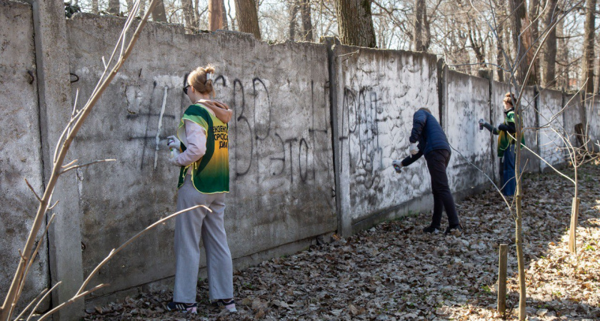 Пензенцев предупредили, что 23 мая Олимпийскую аллею закроют на обработку