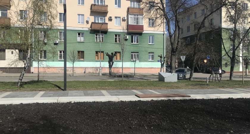 В Пензенском ЖКХ  рассказали почему деревья превращают в пеньки