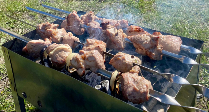 Пикник с шашлыком из свинины обойдется пензенцам в 1382 рубля 36 копеек