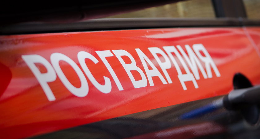 В Пензе бойцы Росгвардии задержали 2 мужчин, которые избили пассажира автобуса