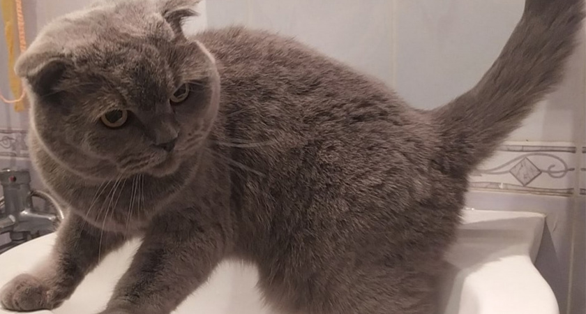 На капитальный ремонт водонапорной башни в селе Порзово потратили более 850 тыс. рублей