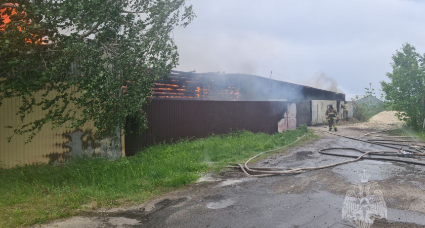 Пожар в селе Благодатка Кузнецкого района тушили 14 человек