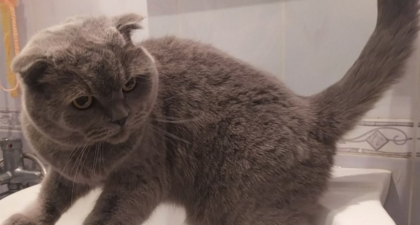 Ремонт артезианской скважины в селе Верхняя Салмовна обошелся в 590 тыс. руб.