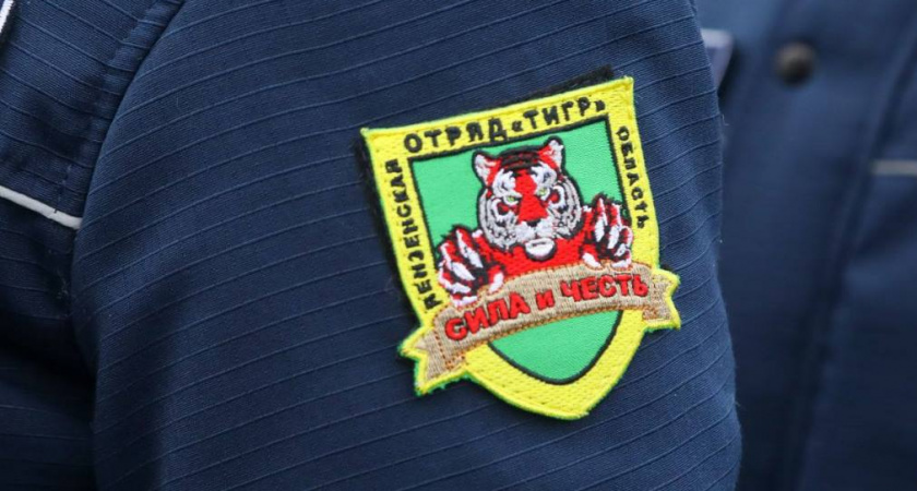 Пензенский отряд «Тигр» пресек 15 преступлений и 1019 административных правонарушения 