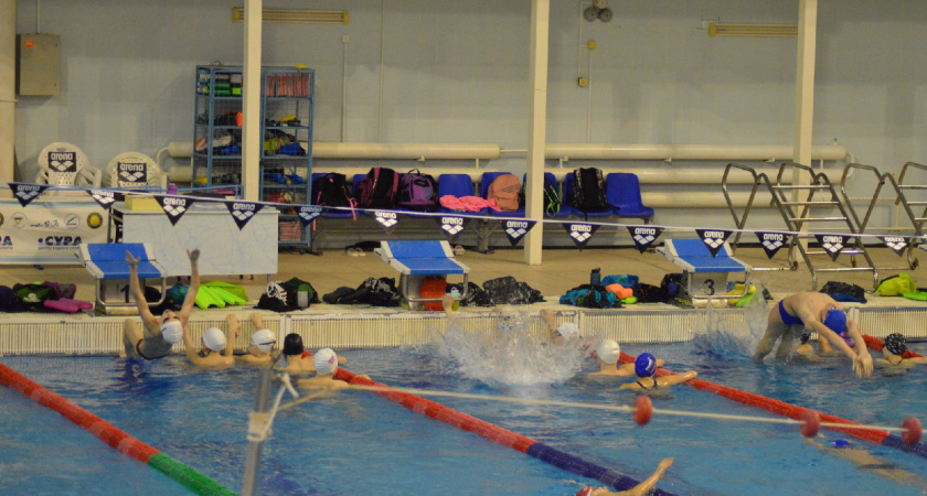Пензенские пловцы выиграли 19 медалей в первенстве России по прыжкам в воду