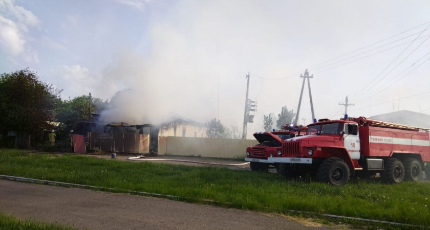 Пожар на улице Урицкого в Каменке тушили семь человек