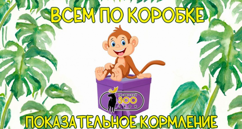 17 июня пензенцев приглашают на показательное кормление в зоопарк