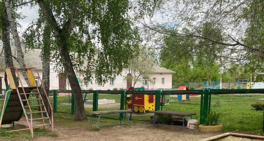 Прокуратура начала проверку из-за падения деревьев на детскую площадку на Островского