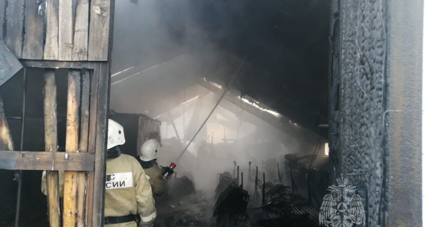 Многодетная семья с ребенком инвалидом осталась после пожара на улице в Пензенской области