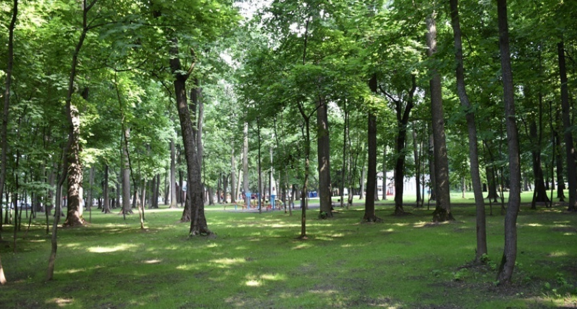 На Олимпийской аллее в Пензе скоро появятся туалеты, лавочки, урны и навесы от дождя