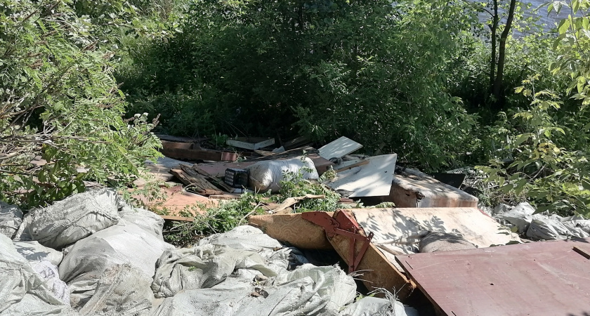 В Пензе двое молодых людей сбросили мусор вдоль берега Суры на Барковке и уехали 