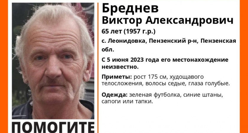 В Пензенской области разыскивают 65-летнего Виктора Бреднева из села Леонидовка