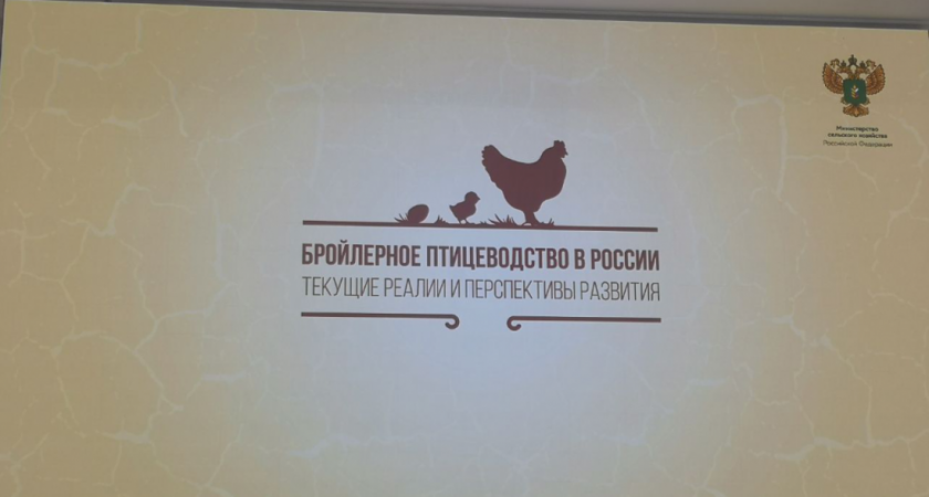 Пензенская область заняла 3 место в России по производству мяса птицы