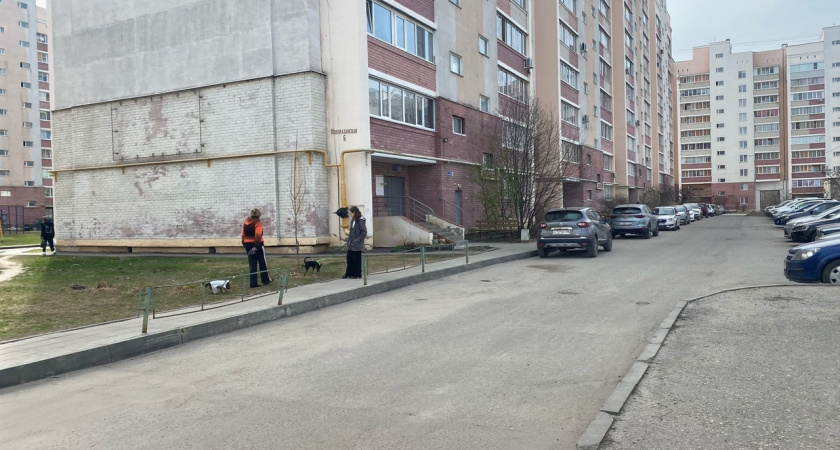 Микрорайон Заря в Пензе пополнится двумя многоквартирными домами в 2024 году