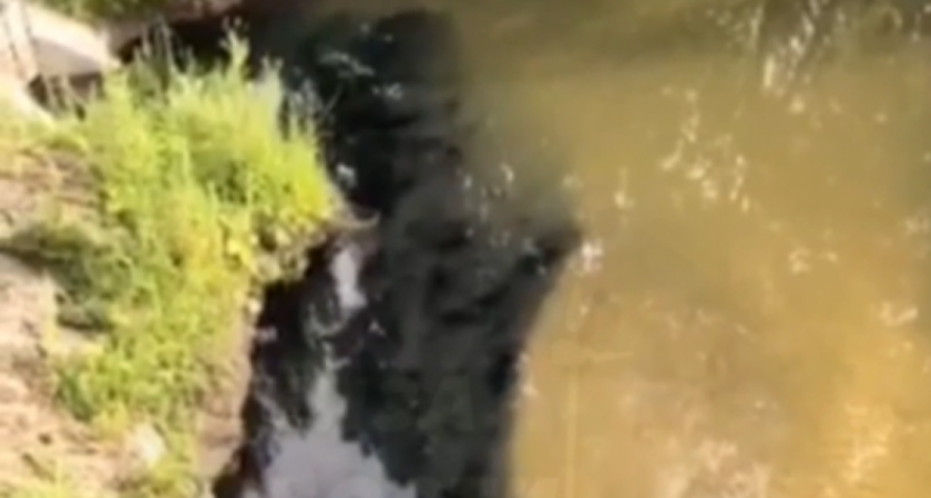 В соцсети сообщают о загрязнении реки Ардым в Пензе