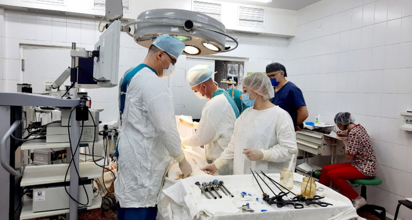 Девочке потребовалась операция после нападения подвальных блох на ул. Краснова в Пензе