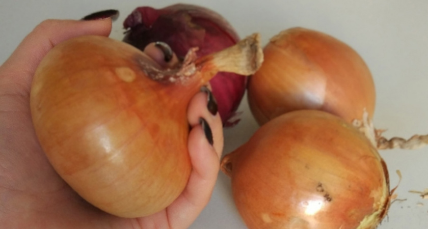 Такого не было 20 лет. В Пензе цена на лук достигла рекордного уровня