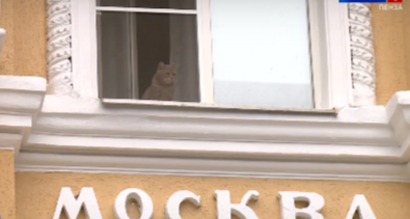 Ремонт фасада дома, где был легендарный кинотеатр «Москва» в Пензе, закончили 