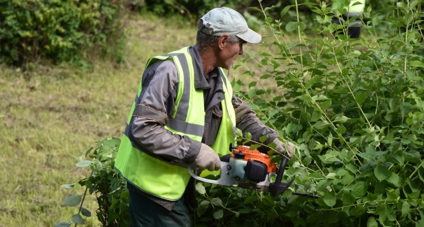 В Пензе началось благоустройство смотровой площадки на Западной поляне
