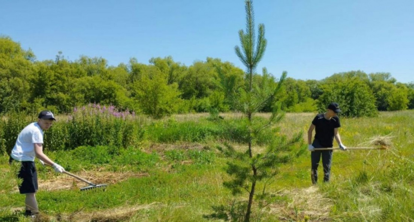 2850 пензенских подростков от 14 до 18 устроились на работу с начала 2023 года 