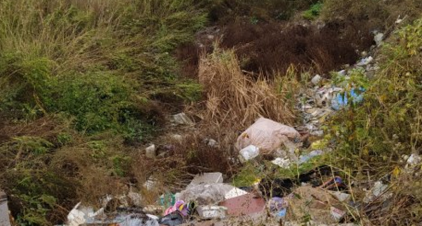 100 млн рублей потребуется, чтобы ликвидировать свалку в Сердобске